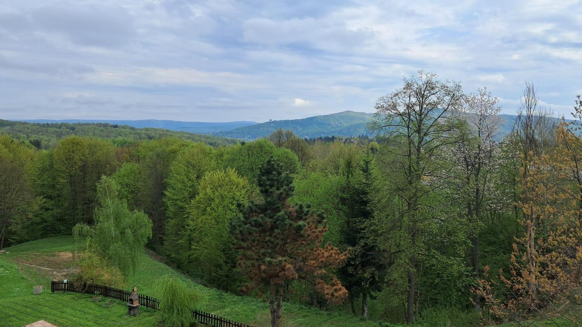 Ferienwohnung Lisc Klonu Polańczyk Exterior foto
