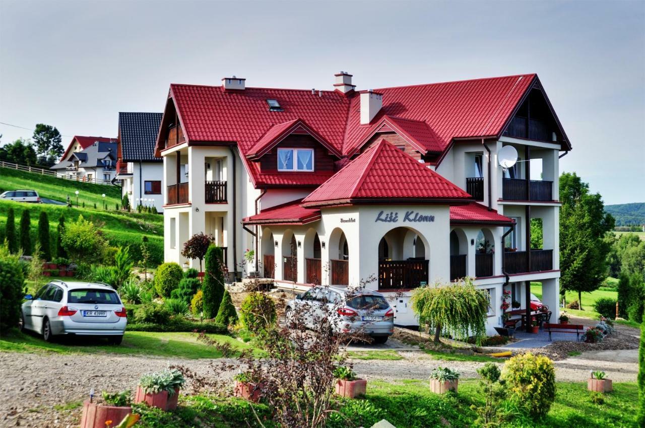 Ferienwohnung Lisc Klonu Polańczyk Exterior foto