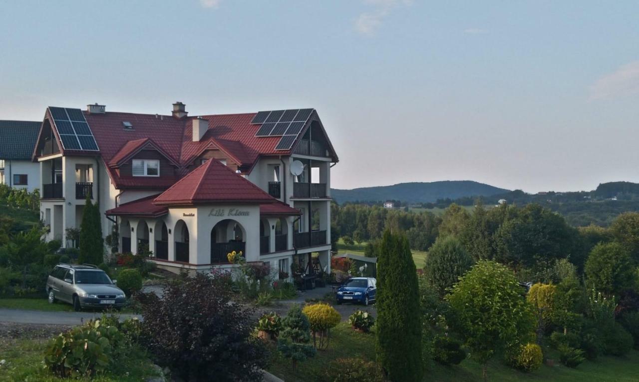 Ferienwohnung Lisc Klonu Polańczyk Exterior foto
