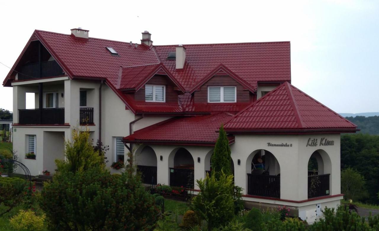 Ferienwohnung Lisc Klonu Polańczyk Exterior foto